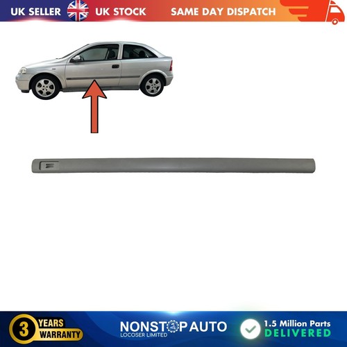 Front door panel trim - panel,