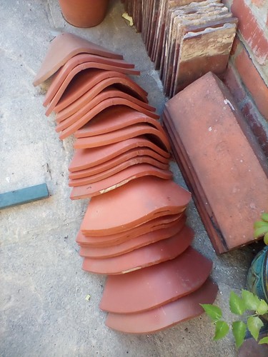 Rosemary bonnet tiles - rosemary,