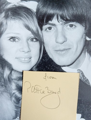 The beatles george harrison - the,