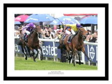 Sea the Stars 2009 Epsom Derby Horse Racing Photo Memorabilia