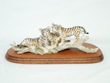 Border Fine Arts Tiger Cubs