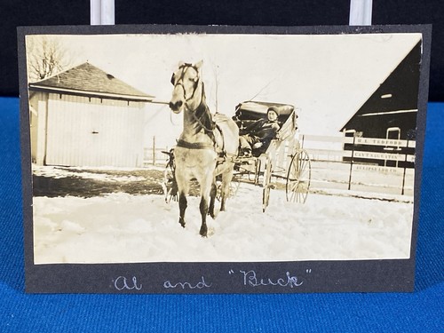 Boy horse drawn - boy, carriage