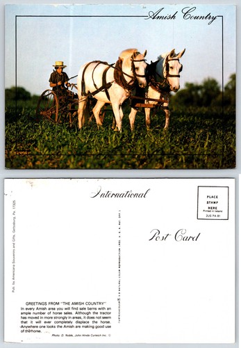 Pennsylvania amish plowing - pennsylvania,