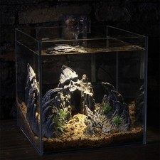Skull Mountain Hiding Fish