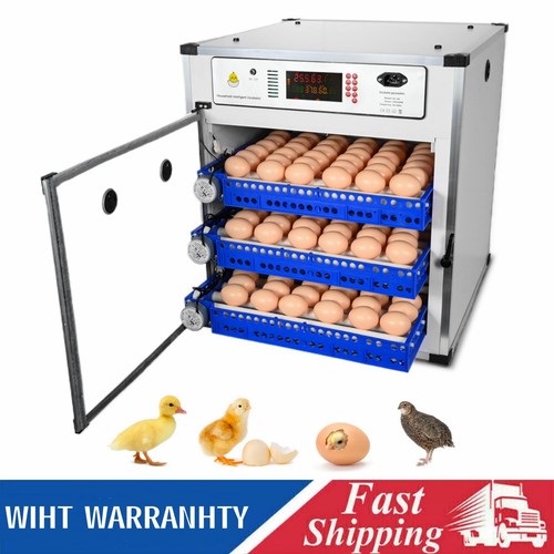 204 eggs double electric - 204,