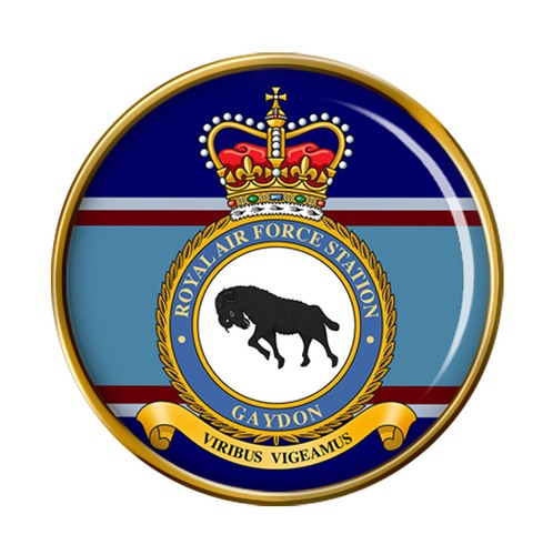 Raf station gaydon - raf, pin