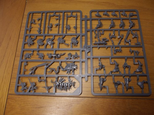 Warhammer fantasy skink - warhammer, skinks