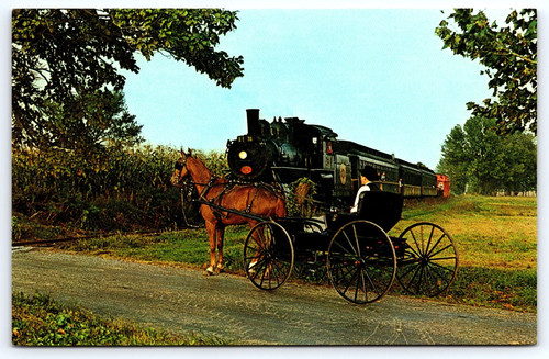 Postcard amish boy horse - postcard, &