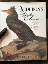 Audubon's Birds of America