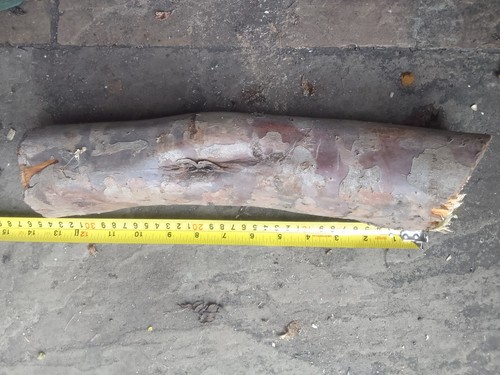 Yew log with inclusion - with,