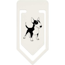'Standing Bull Terrier Dog'