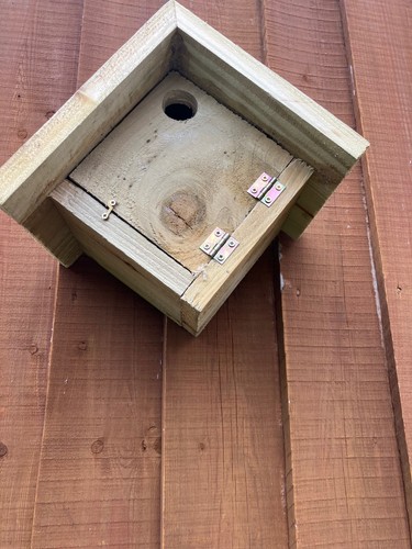 Bird boxes nest - bird,