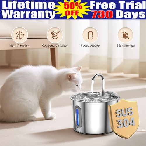 2026 cat water - 2026, for