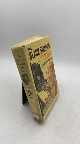 The black stallion and - black, flame