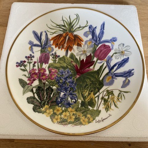 Franklin wedgewood - franklin,