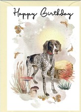 German Shorthaired Pointer