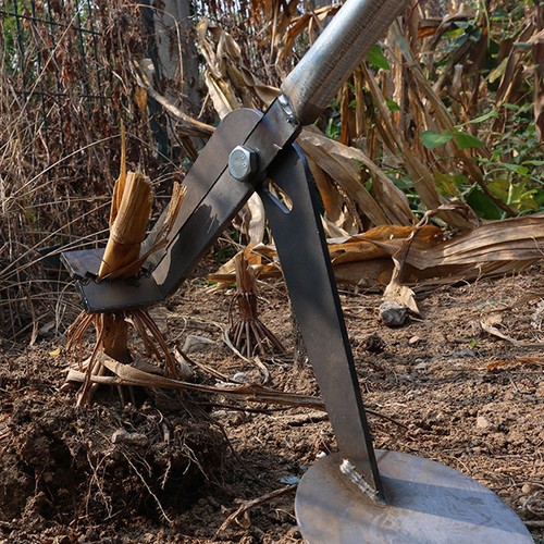 Tree root pulling - tree, tool