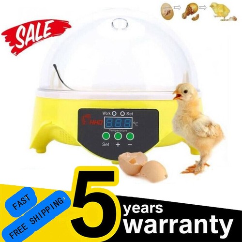 Automatic digital egg - automatic,