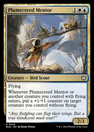 Plumecreed mentor nm - -,