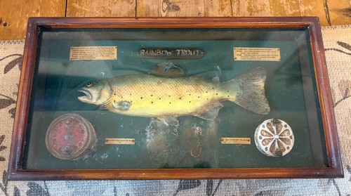 Vtg rainbow trout fly fishing - rainbow,