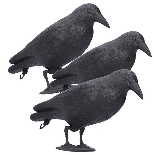 Realistic crow decoys life - crow, decoys,