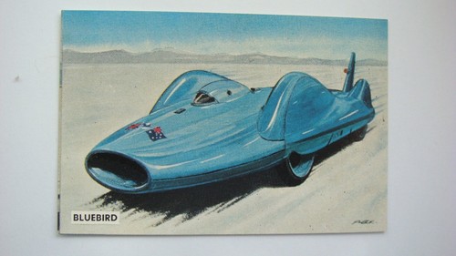 Bluebird sanitarium world - bluebird,
