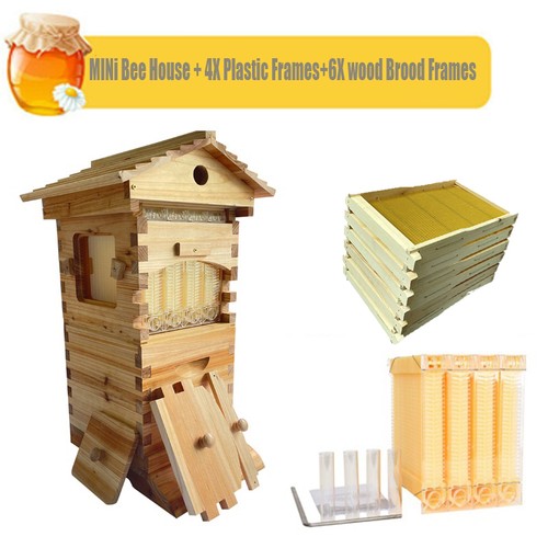 Upgraded auto honey mini - x,
