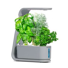 AeroGarden Sprout Grey