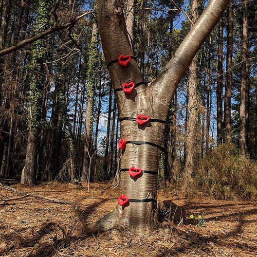 Sturdy climbing racks with - climbing,