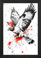Red tailed hawk Framed Wall