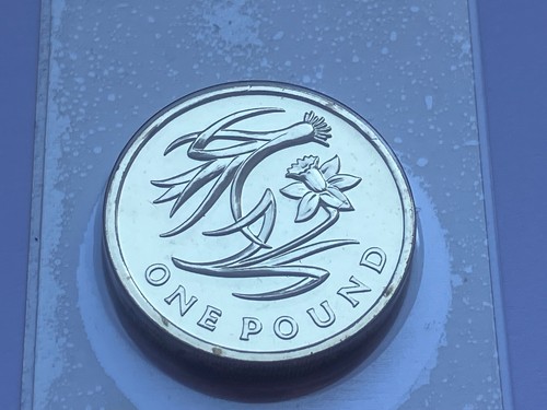 One pound coin 2013 - 1,
