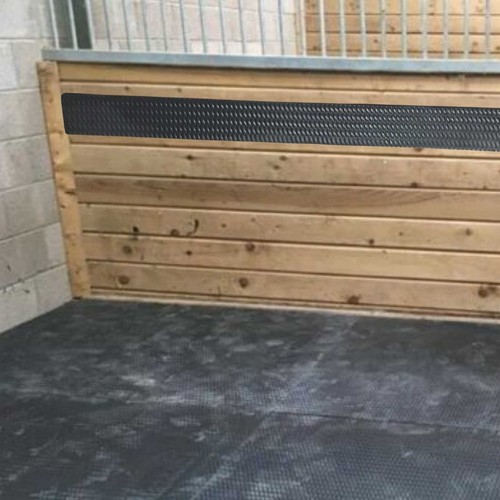 Horse anti cast - anti,