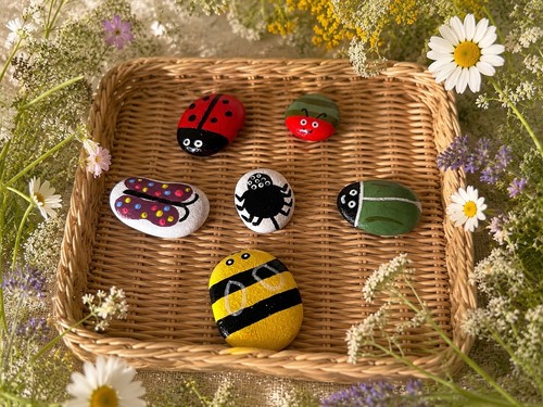 Insect sensory stones - insect, stones,