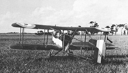 Scale pusher biplane - scale, 60"