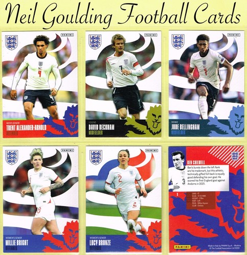 Panini 2022 the best - panini,