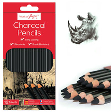 12 Charcoal Artist Pencils For