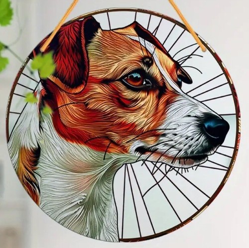 Sale jack russell - ❤️,