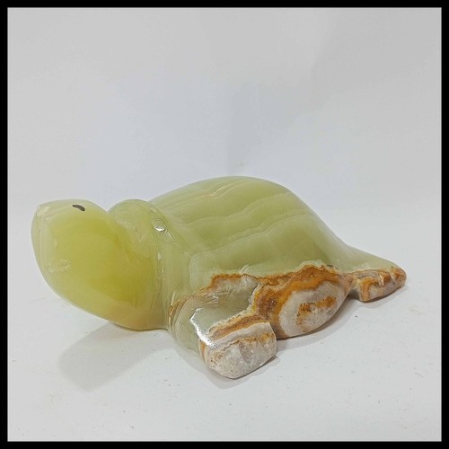 Onyx turtle pakistani - onyx, turtle/pakistani