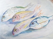 Original Watercolour &