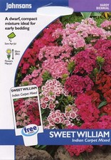 Johnsons Pictorial Pack - Flower - Sweet William Indian Carpet Mixed - 400 Seeds