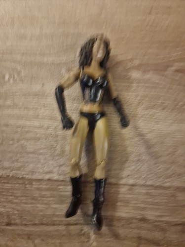 Mattel wwe layla - wwe,