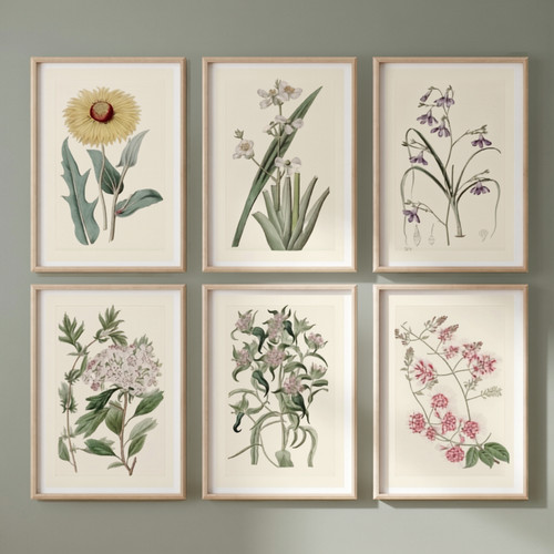 Set vintage meadow art - of, 6