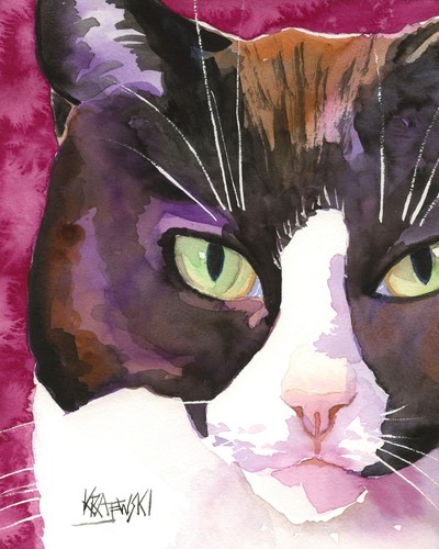 Tuxedo cat high - cat,
