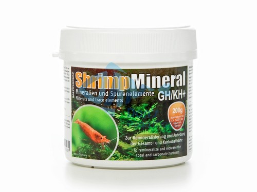 Salty shrimp minerals - shrimp,