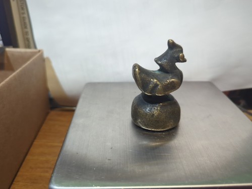 Burmese bronze bird hintha - bronze,