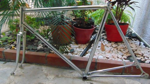 Ciocc ctc rare - 56,