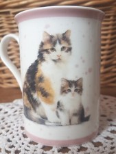  Tortoiseshell Tabby Cat &