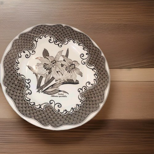 Vintage staffordshire english - staffordshire,