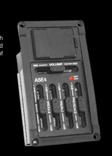 Artec ase acoustic guitar - artec,