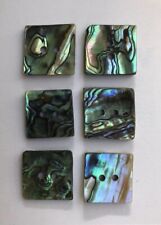 Mexican Abalone Shell Buttons